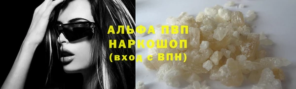 таблы Бородино