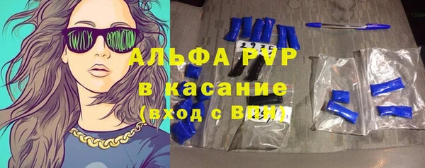 прущие грибы Волосово