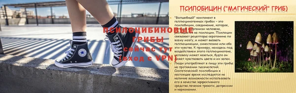 jwh Верея