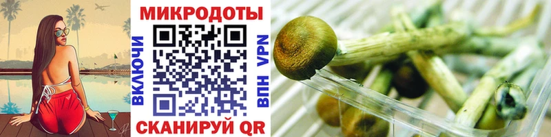 Псилоцибиновые грибы прущие грибы  Купить  Никольск 